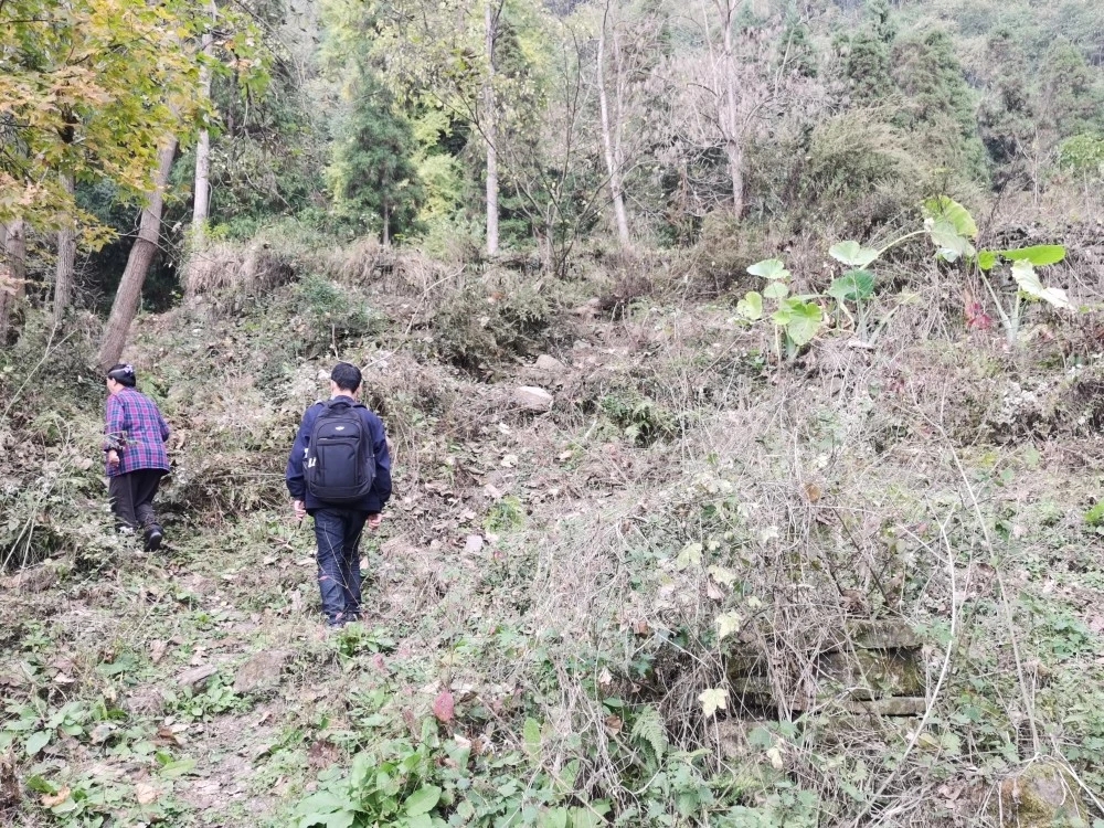 占地纠纷被判敲诈勒索。拘留642天后，河南农妇无罪释放，国家赔偿30.4万余元